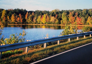 Lake Anna State Park